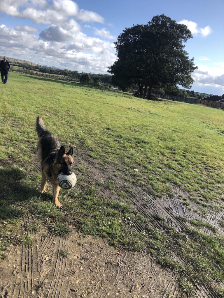 1534 b2d942aded2ff2ecdc65df4b4d36c2b8 1 768x1024