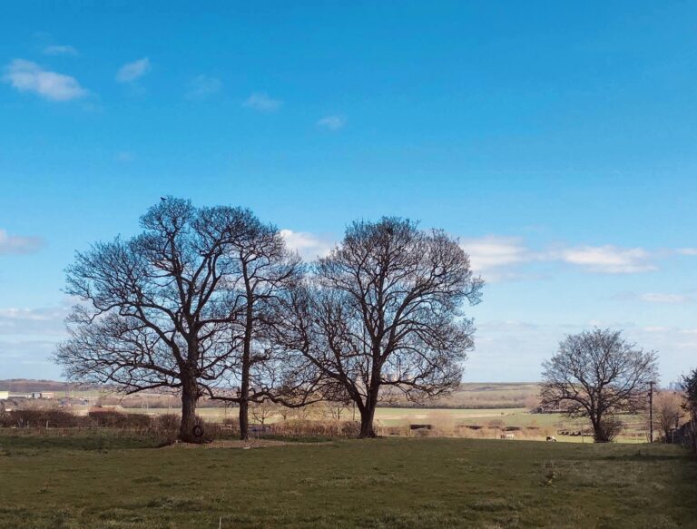 1534 bc4d56f189436e07732062ba6be8b366 1 768x583