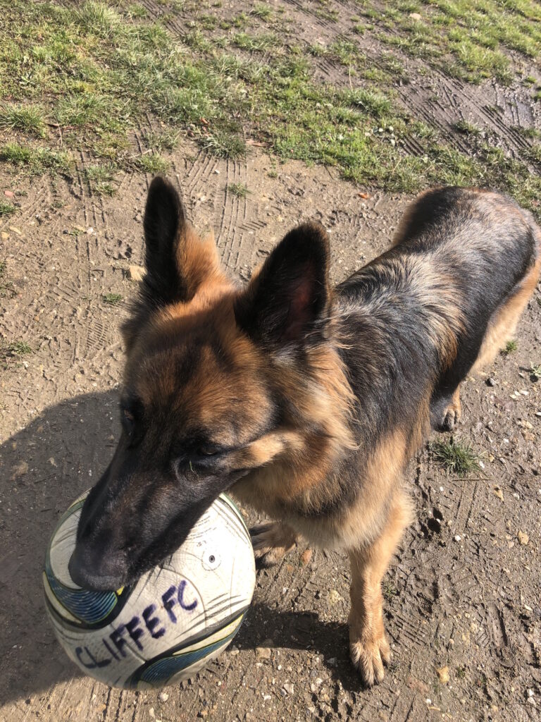 1534 e6cb3ea7088dbd8c84adb48c050ac655 1 768x1024