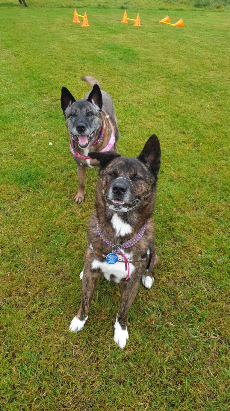 1534 e6e41352fdd97f9bb3fce390826e4664 1 768x1373