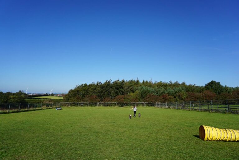 1546 ab95bf99a4f373be9ad8fa8bdeb4efb9 1 768x513