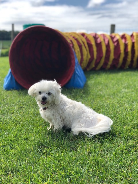 1546 af770b3511f9b01458deb39b357db940 1