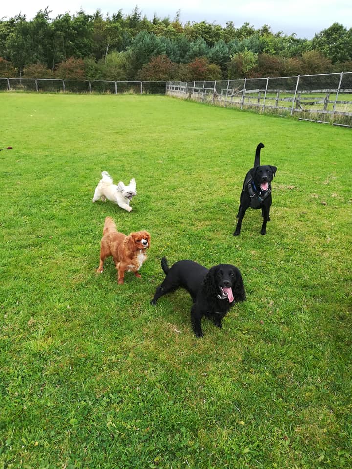 1546 bed97968f7fc188b473419dd9d5d8402 1