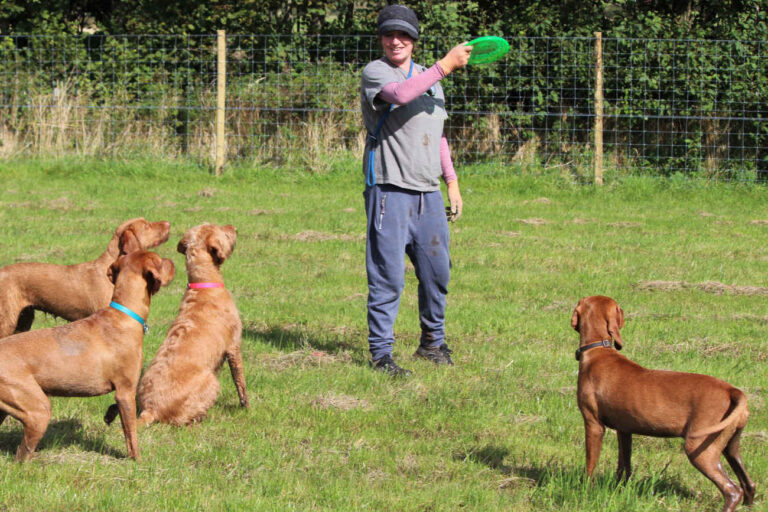 1549 078c28c83ed9ab2974a864ca4524196d 1 768x512