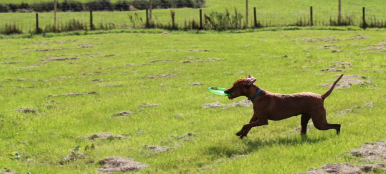 1549 23057a83f501e2b102953d756a344bb4 1 768x347