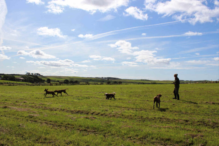 1549 559a49fa811c15a92fb24bc1a24ba86d 1 768x512