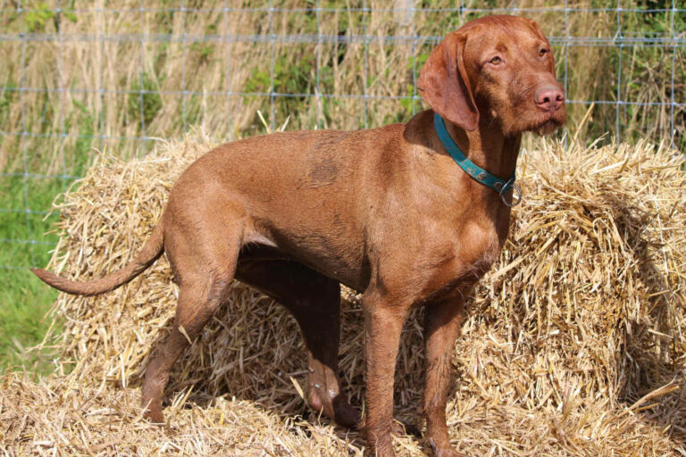 1549 710923c52f9a37d7709c2497a9ad9d1d 1 768x512