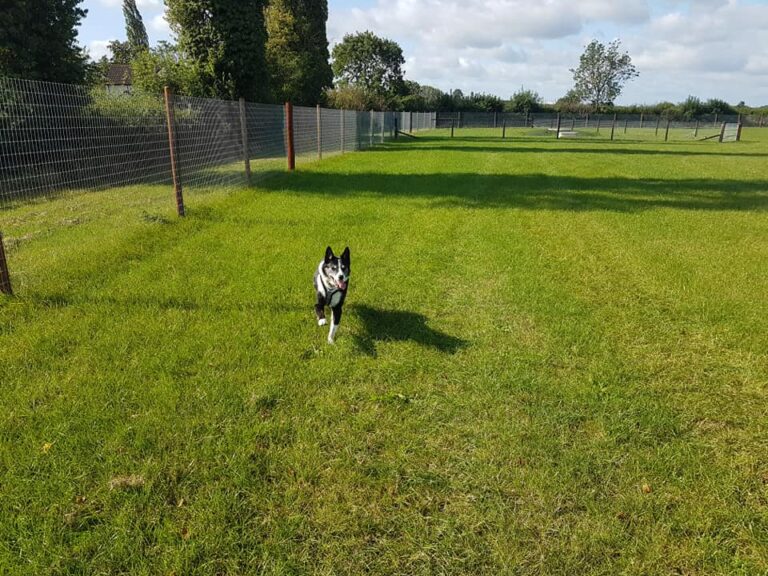 1554 0762a30b9d701f4ed2fa50901afd8ed0 1 768x576