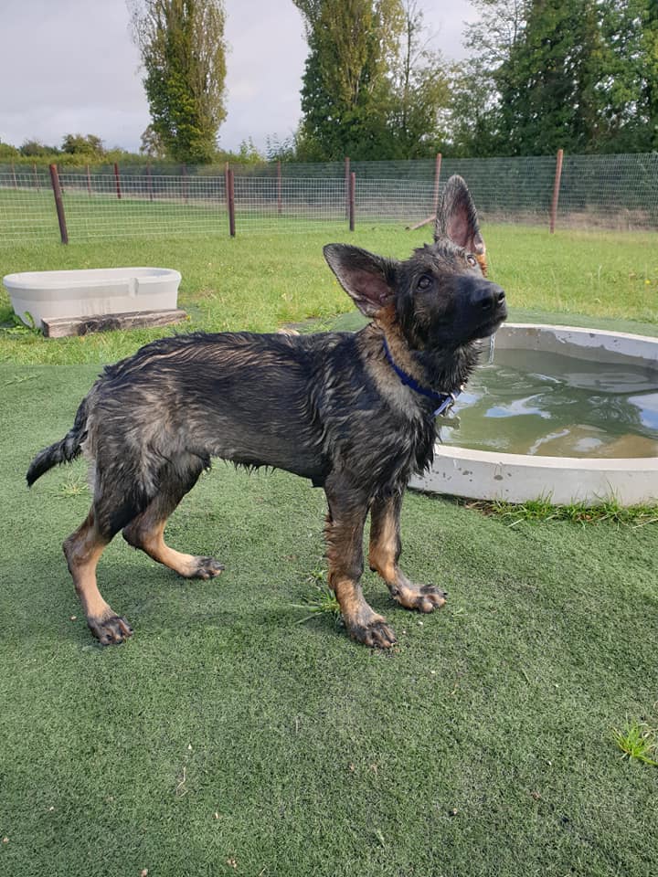 1554 10d25b89194a4437f70955fe125d2090 1