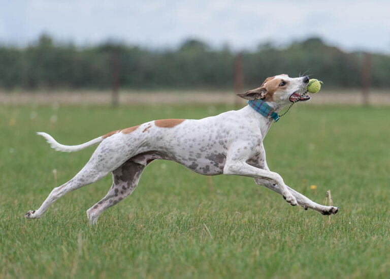 1554 4b120c873f639b66db4b8478ffa2b8b1 1 768x549