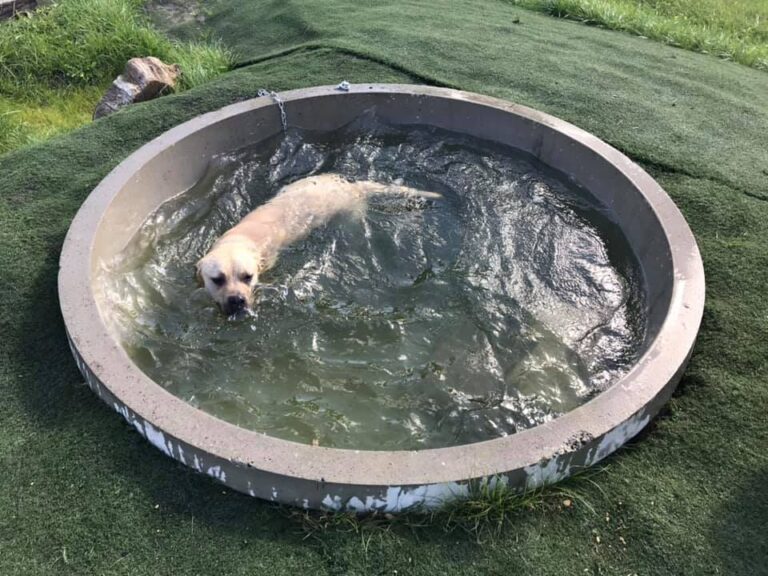 1554 86b8fde0460ecbfa7e26ffe8ea12f9ea 1 768x576