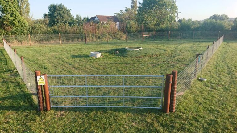 1554 e13e2a759cddbc6e35563349bf10aeb2 1 768x432