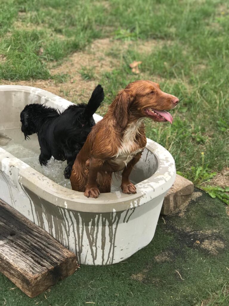 1554 e4bd6322dab9812c029c231a5e6d1126 1 768x1024