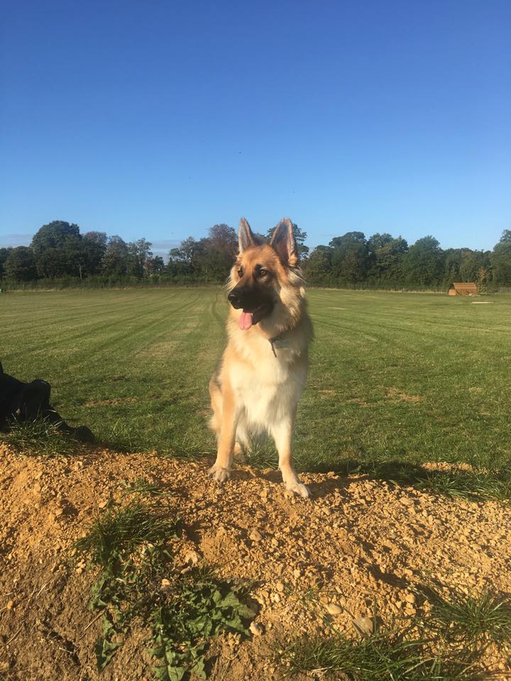 1554 ea4a6928c53e29326734bbc05955facb 1