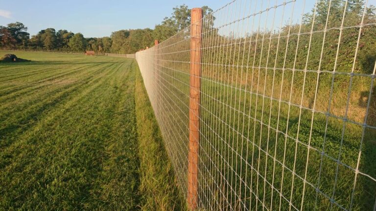 1554 f26ffde100f7a01f8a4ff973c2093ea7 1 768x432