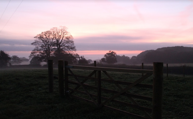 1555 cd4fc206ea89e94db2c1950abbcd42ad 1 768x473