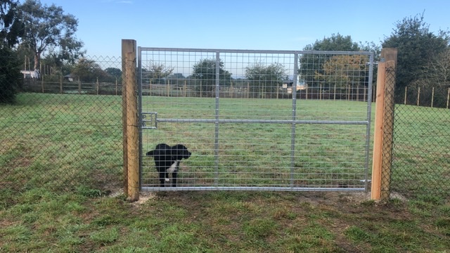 1560 07f85f9a2bf40a2da4b70209d85824c8 1