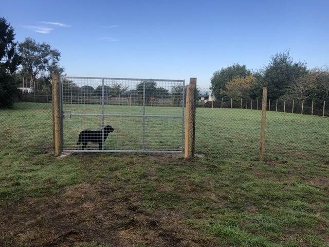 1560 4163e2cbee81488e5cbfcdb014332e11 1