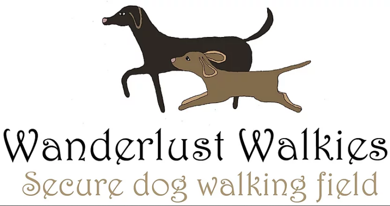 1562 1dc5ea70fcc9ed43ec9ea93f3c091839 1 768x406