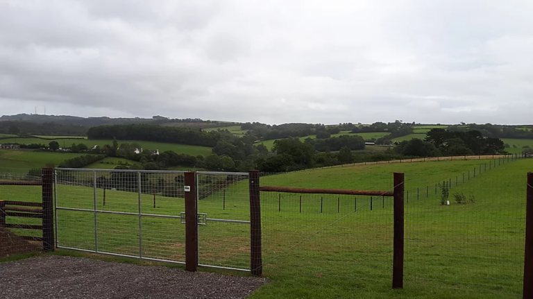 1562 3e3800c783d1fa6643e963b3c309ff49 1 768x431