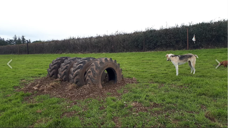 1562 5c22cb17b635135d8f16729066af1b90 1 768x433