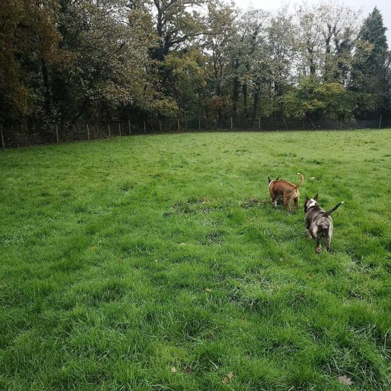 1564 6cde39d41c08d1b32f0e8cd15d4dc9be 1 768x768