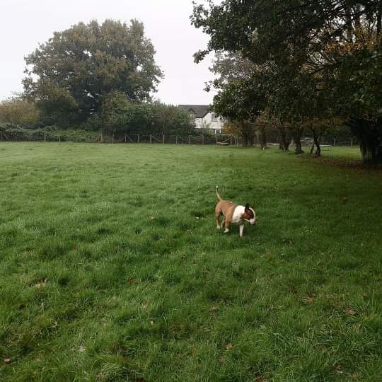 1564 f99f541280354328ed494a9a184351a1 1