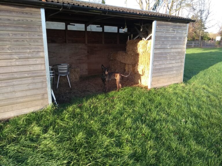 1570 192eff9cb9b3cb85efe696b72ab8aac1 1 768x576