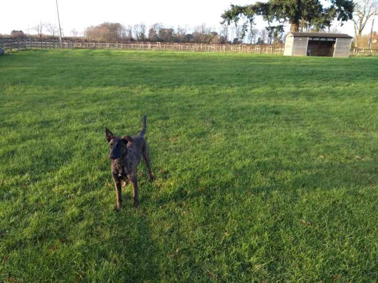 1570 2e0cd3aabde231eb5e056081735e10ef 1 768x576