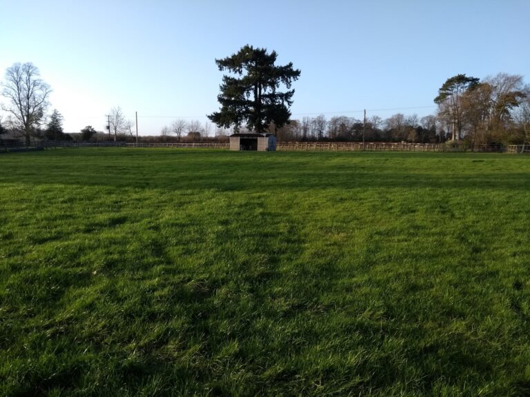 1570 4cce28cf5e95eb4f9e8b1f0c25a83a6e 1 768x576