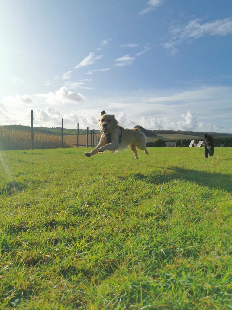 1572 f4964b90ca9f72613950804bdeb87534 1 768x1024