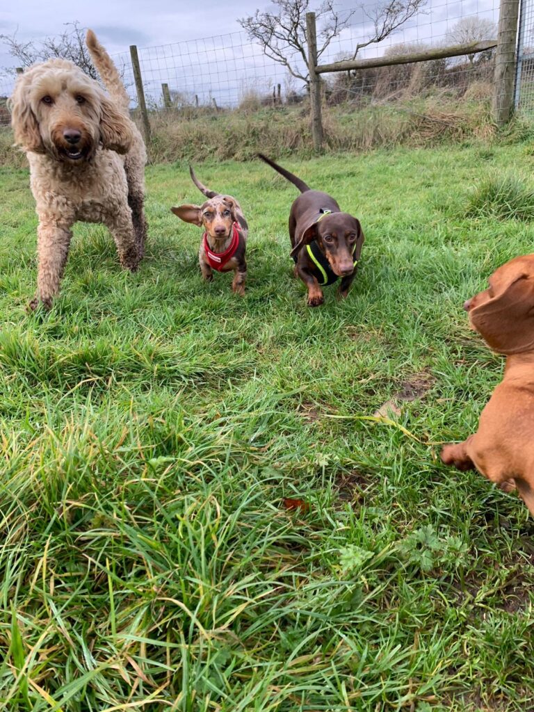 1573 d92c3ed59095932b4a67911950f695c8 1 768x1024