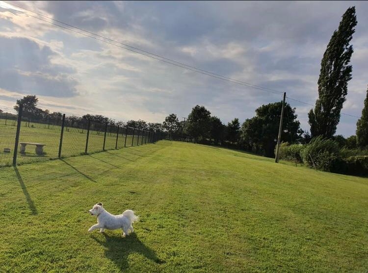 1574 b5a7c4307cda7ea99d22d19247a4f76f 1