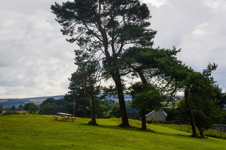 1575 05f55dc45c6d48dd8a01cea4a42b4506 1 768x511