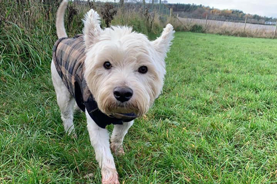 1576 cd7057e7061efe028aabe3d1da33bcfa 1