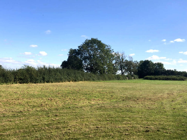 1577 7b21068b29650a5594e2f30dbb1cec2d 1 768x576