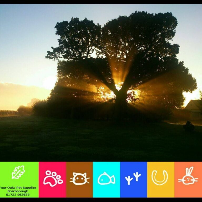 1580 be9da26d200dce80e5e1dd945af81d2f 1 768x768