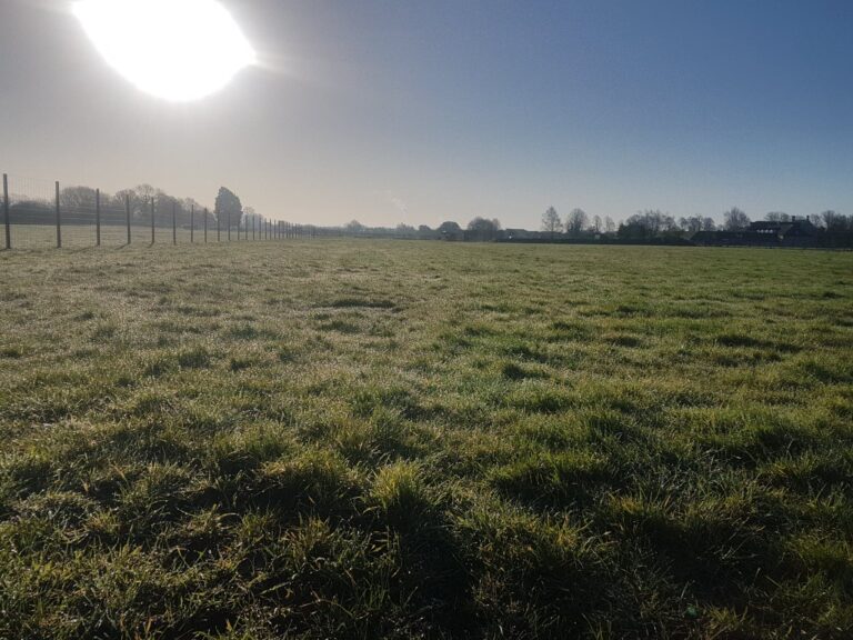 1583 0480044c1206741b23db21d5bfa5be00 1 768x576