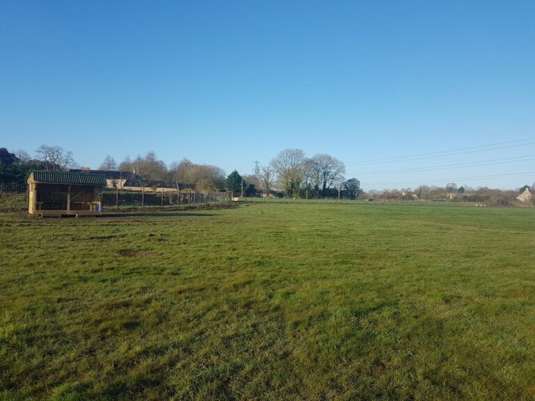 1583 1c5be3d7aa4b67a41e7d4b443f825c13 1 768x576