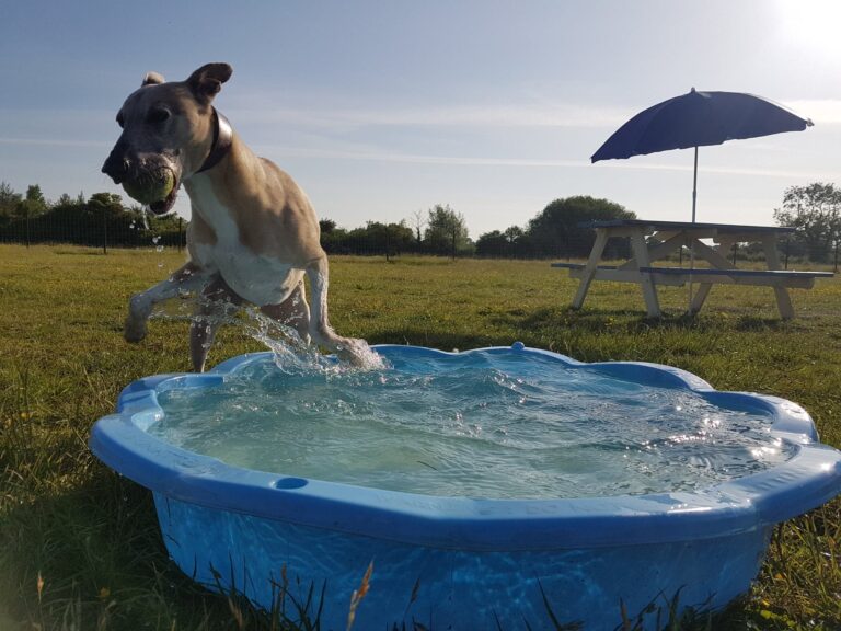 1583 2ae53ec53f04e1e6c64eb7c9cb7e6dd2 1 768x576