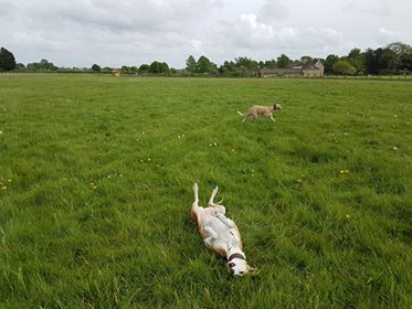 1583 543375fe037157910e40a231aeafd465 1