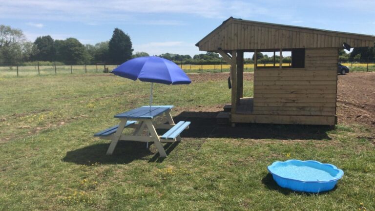 1583 a22bffd3573dc52e5a06dbc0e3781a86 1 768x432