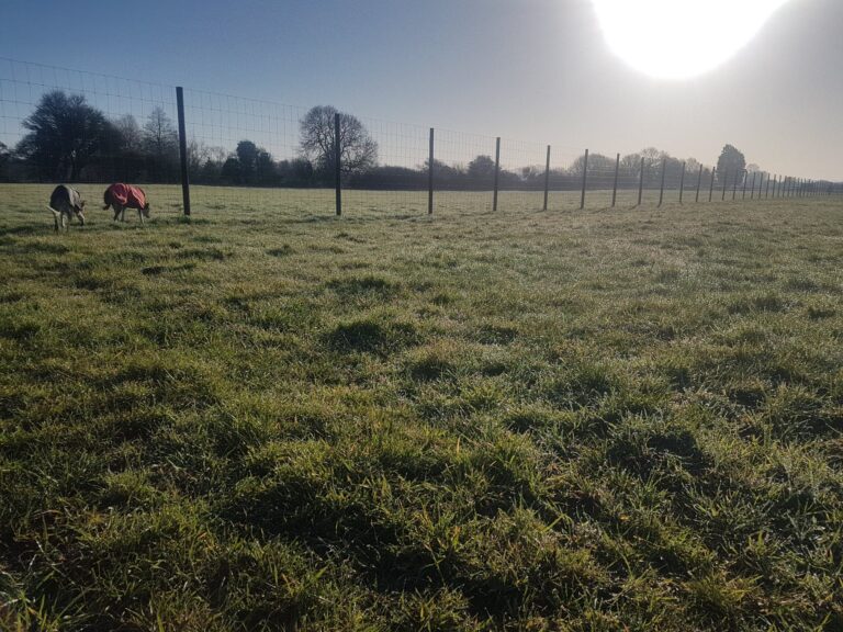 1583 b265a9080435d610b25626e0e6cd9e4e 1 768x576