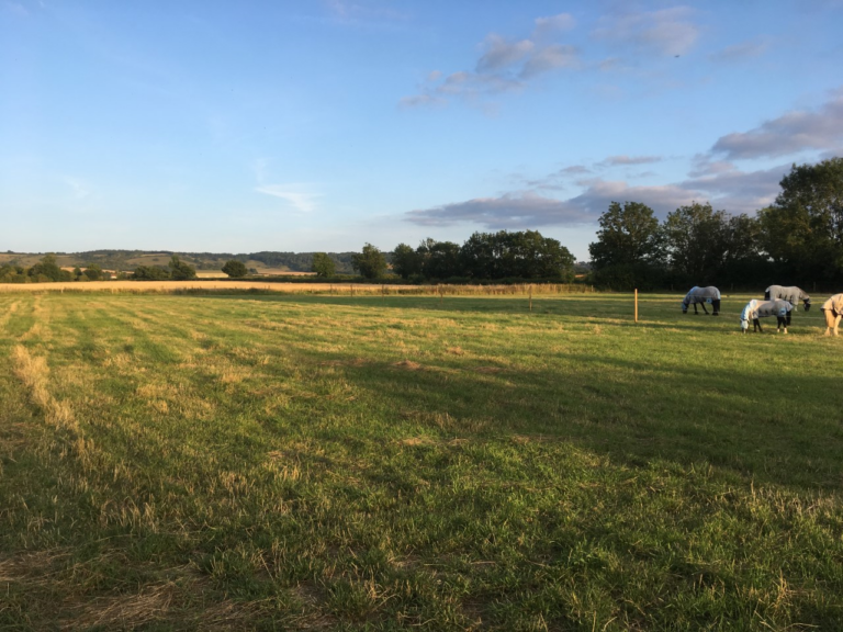 1584 60eab48f86682354c43d2d3f2e2cab73 1 768x576