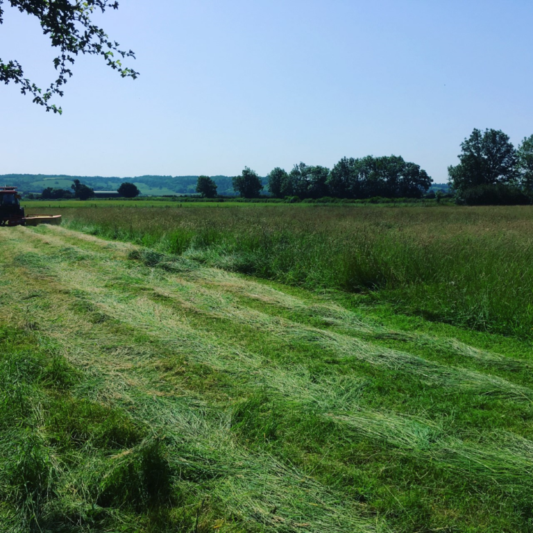 1584 a5f72ff45ab0ce7b00c88af71e6011b7 1 768x768