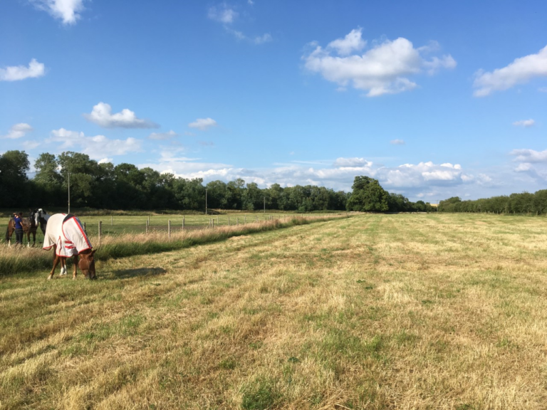 1584 c5501339d64ee5c86f520c2c8e78a3a6 1 768x576