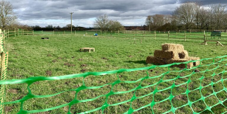 1589 53ca5ca1593a2148238d4995b7dfca49 1 scaled 768x386