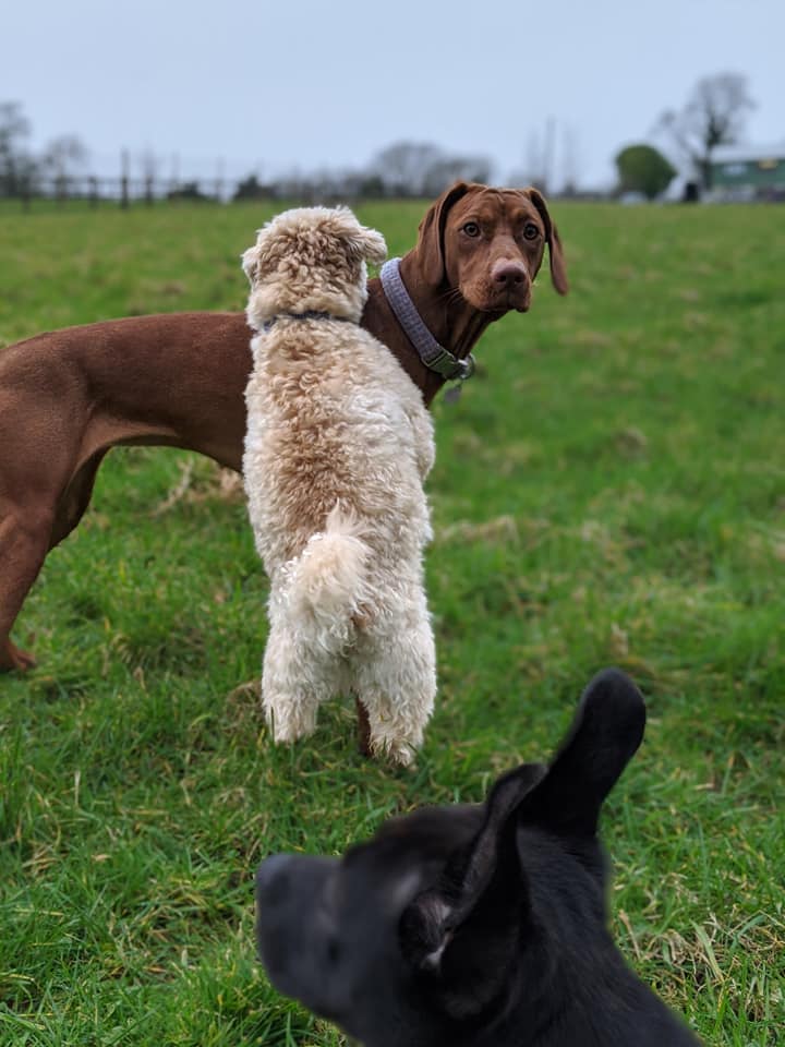 1590 93b14c39be0b628f500d4ed0e56b69a0 1