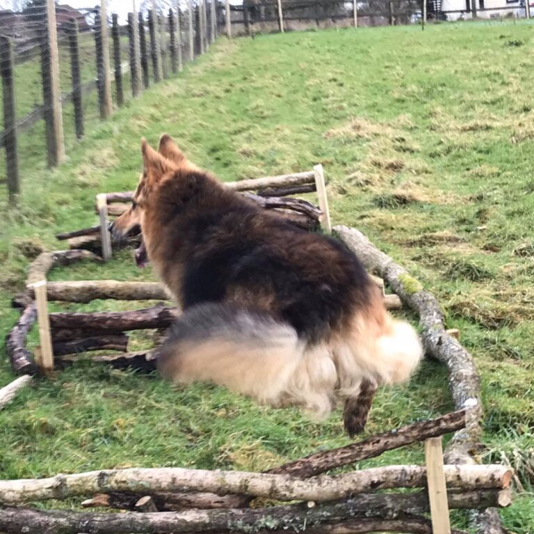 1590 cecba20a253c295d5417c6890c4087b1 1 768x767