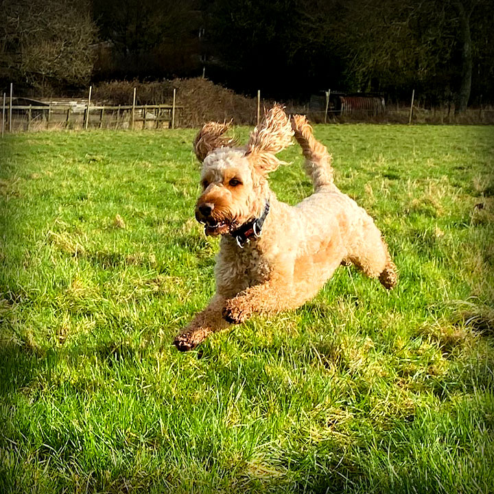 1590 e5971beacf887eaca8a24eaadec58dc2 1